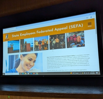 SEFA website